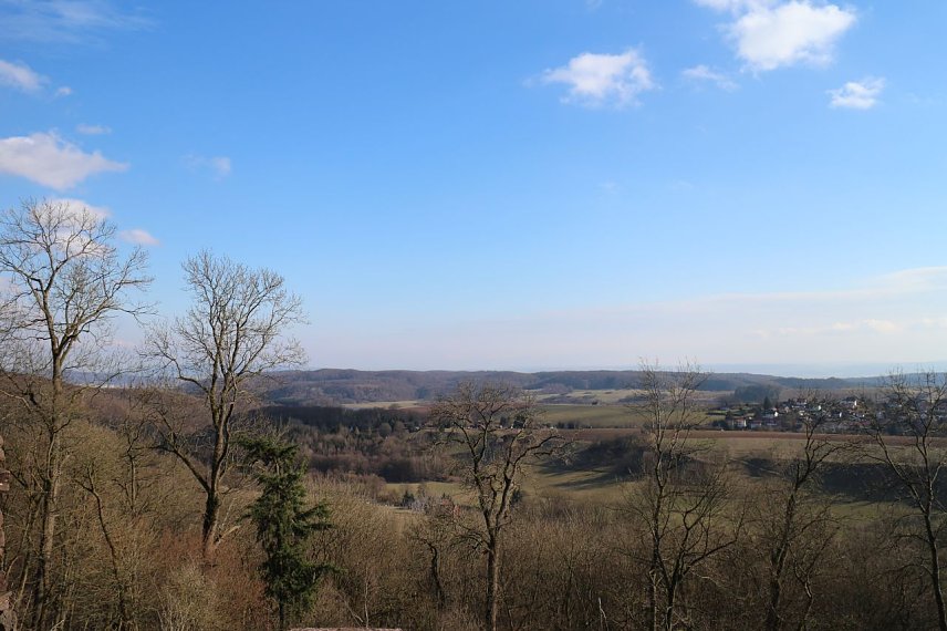 Bild: 