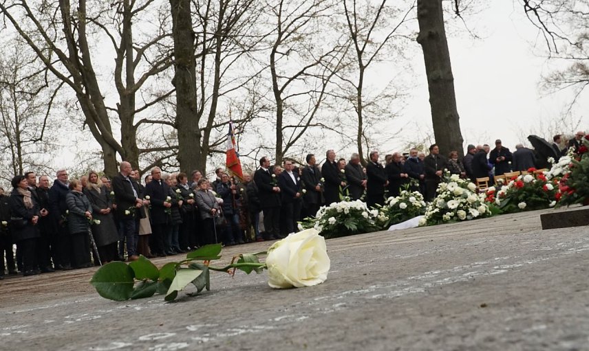 Bild: Eine wei&szlig;e Rose im Vordergrund, im Hintergrund die Gedenkfeier am ehemaligen Krematorium