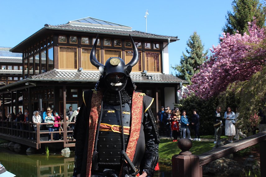 Bild: Samurai vor Pagode