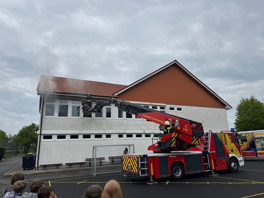 Bild: 