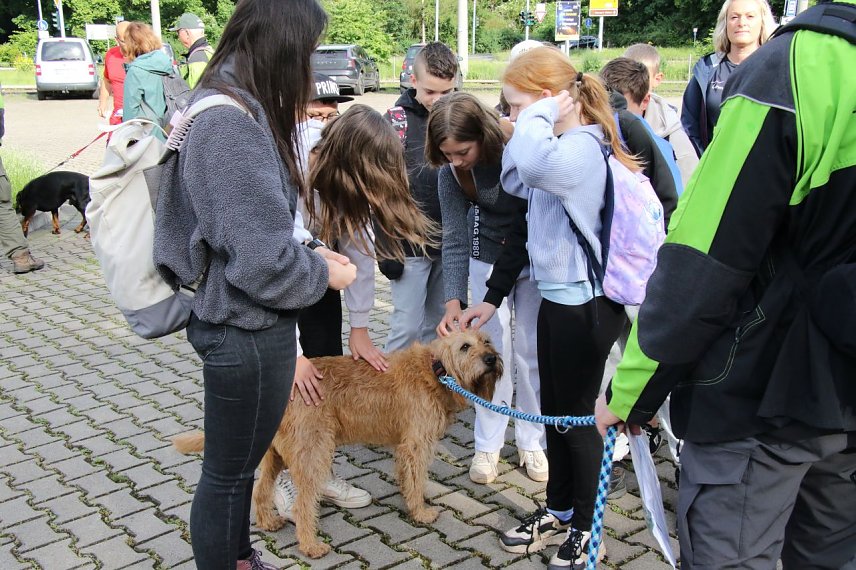 Bild: 