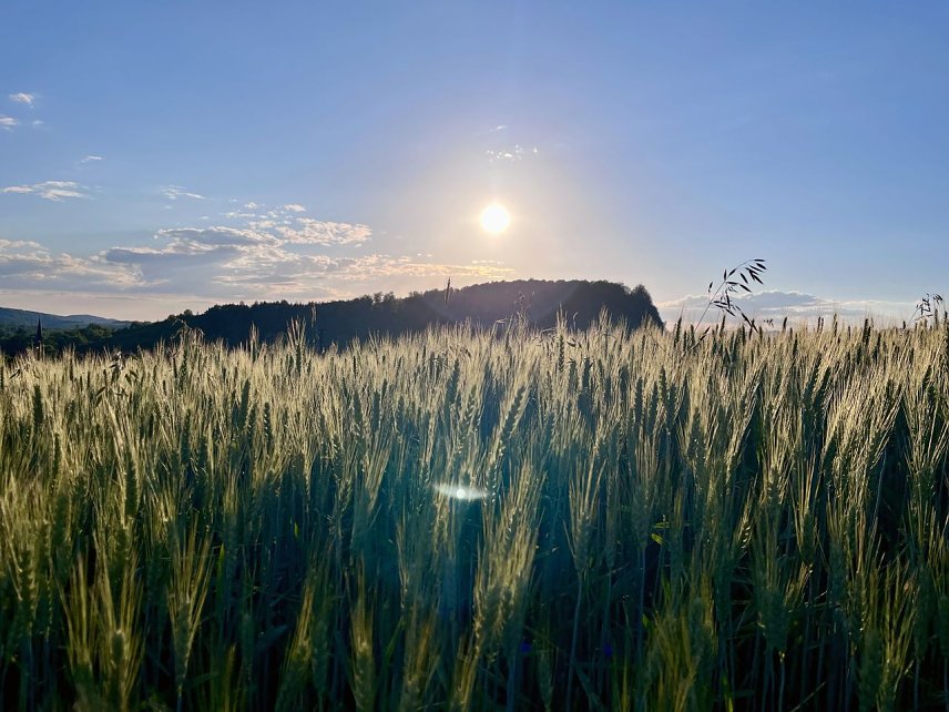 Bild: 