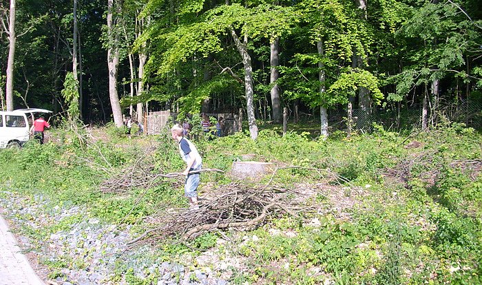 Bild: Holzsammeln f&uuml;r Lagerfeuer