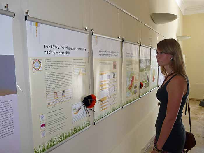 Bild: Zeckenausstellung