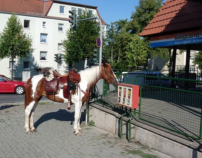 Bild: Pferd in der Stadt