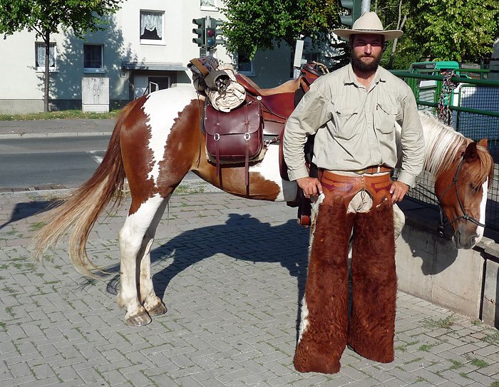 Bild: Pferd in der Stadt