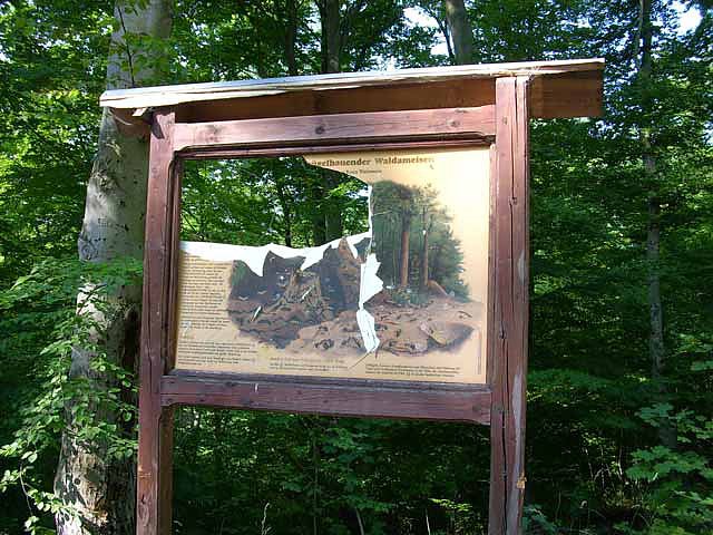 Bild: Tafel am Naturlehrpfad