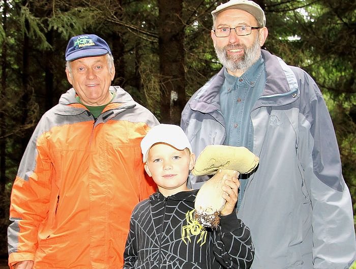 Bild: In den Pilzen