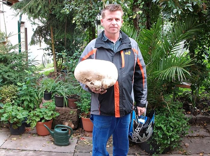 Bild: Pilz