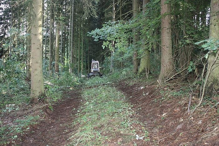 Bild: Waldarbeiten