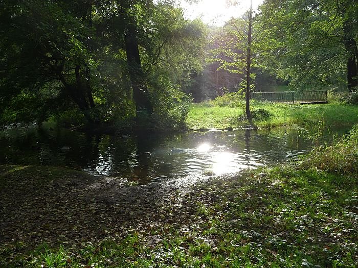 Bild: Herbst im Nordh&auml;user Stadtpark