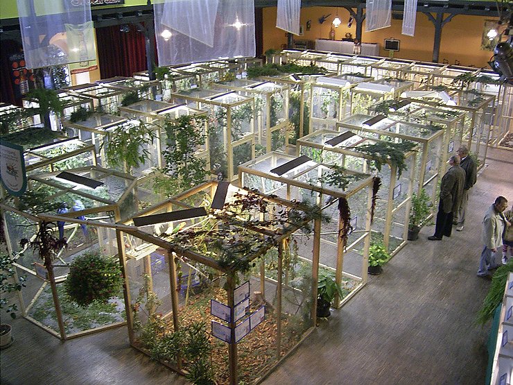 Bild: Vogelausstellung