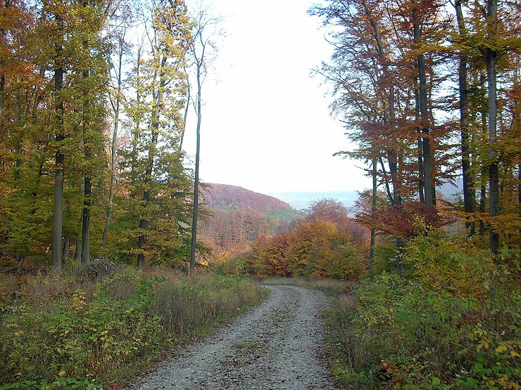 Bild: Frauenberg-Rundeweg Sondershausen
