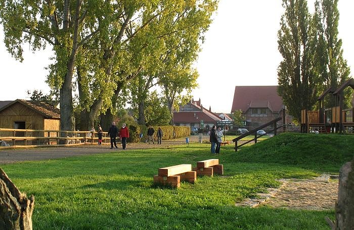 Bild: Spaziergang in Sundhausen