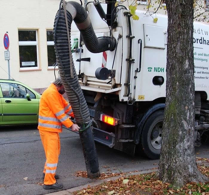 Bild: Laub weg