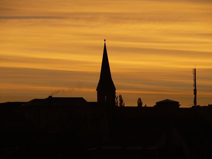 Bild: Aufgegangen