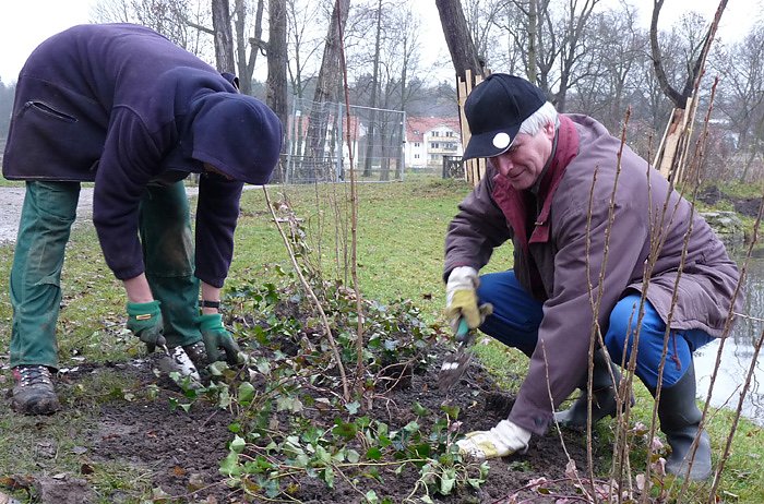 Bild: Selle im Landschaftsbau