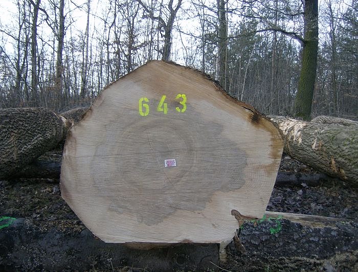 Bild: Angebot