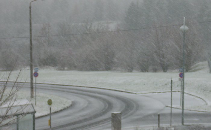 Bild: Neuschnee in Sondershausen