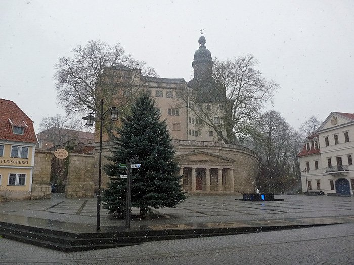 Bild: Weihnachtsbaum