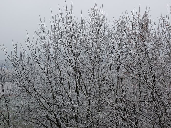 Bild: Start in den Advent