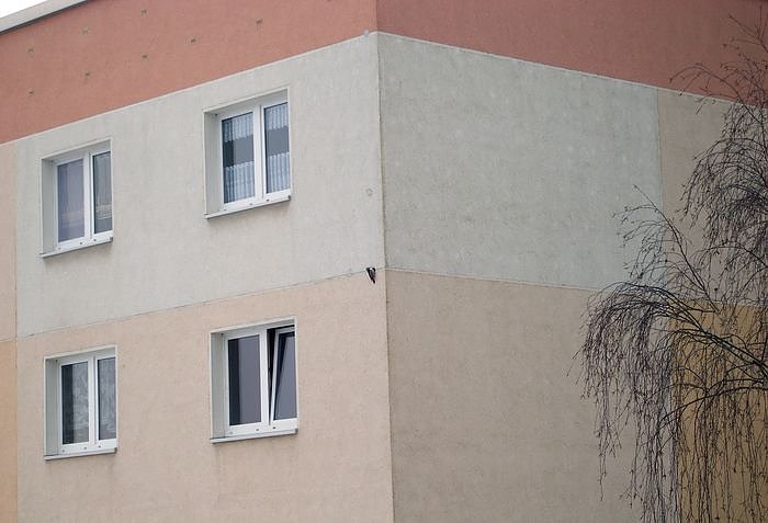 Bild: Beharrlich