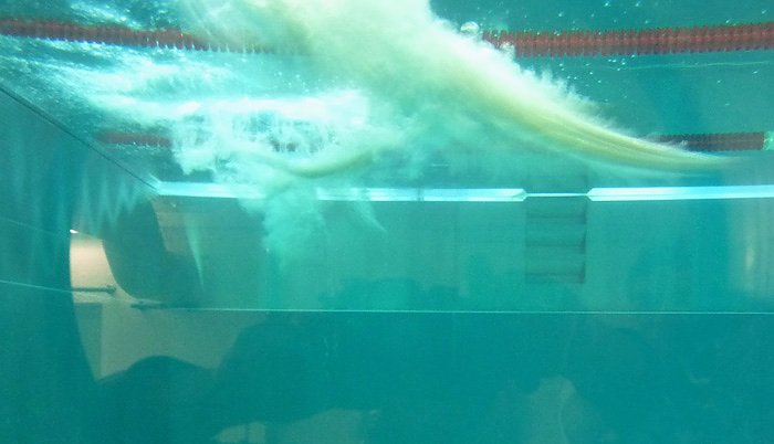 Bild: Kreisjugendspiele Schwimmen