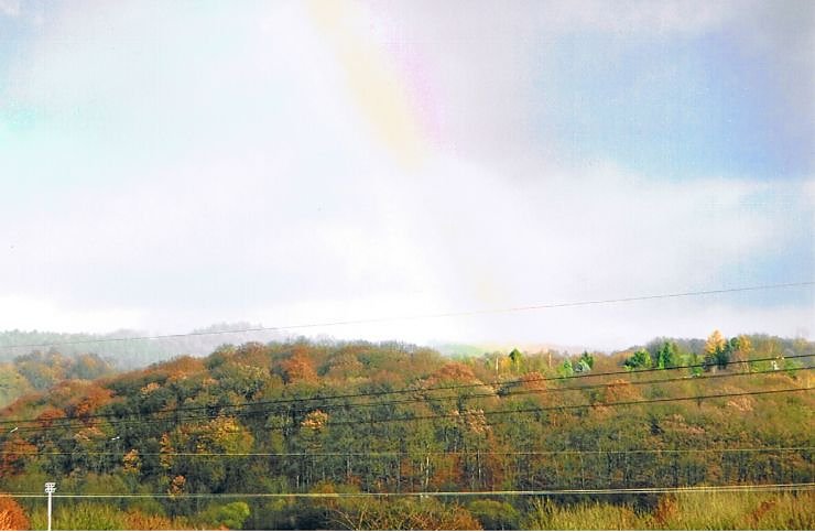 Bild: Regenbogenfarben