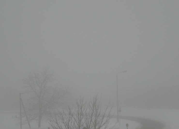 Bild: Schnee und Nebel