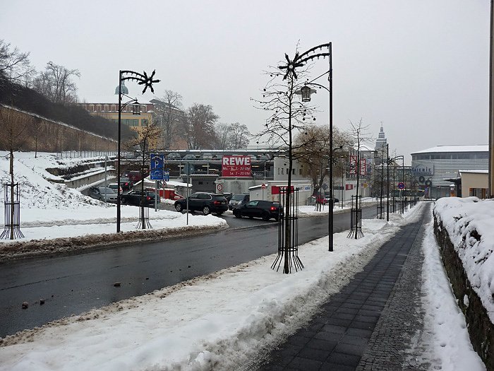 Bild: Schlange