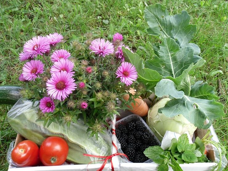 Bild: Garten-Arbeit
