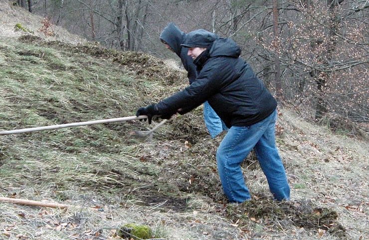 Bild: Entfilzt