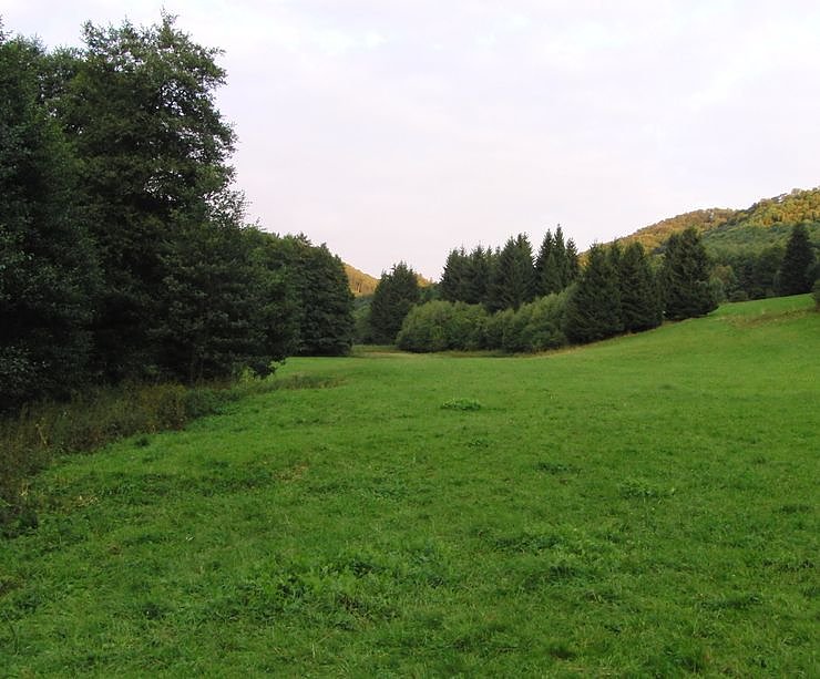 Bild: Brandesbachtal