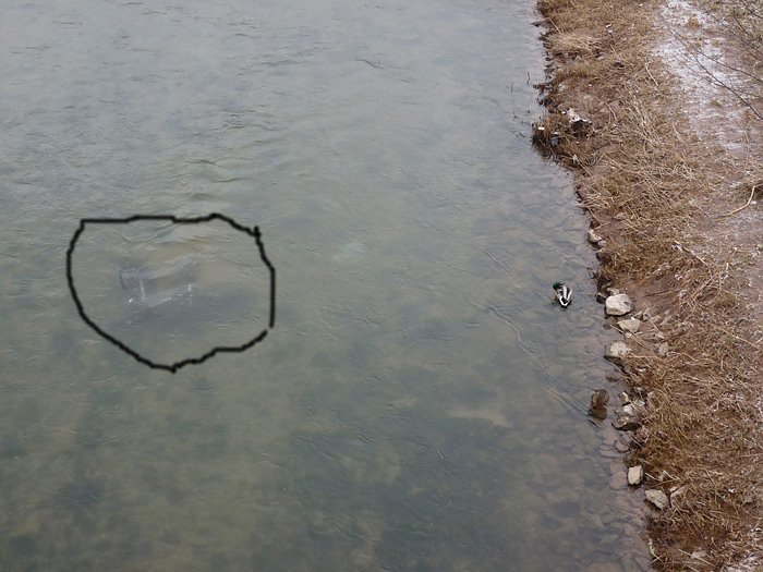 Bild: Fahrrad in der Wipper