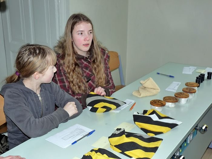 Bild: Offene T&uuml;r Scholl-Gymnasium