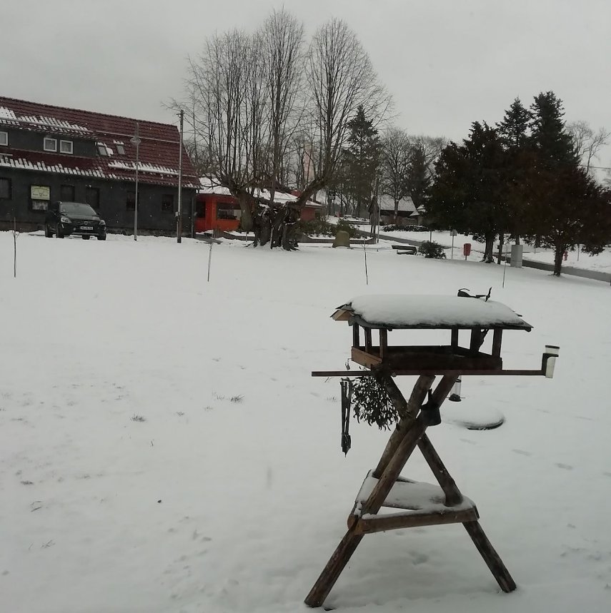 Bild: Sopjienhof im Schnee