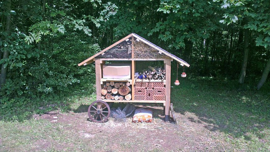 Bild: "Projekt in der Natur"