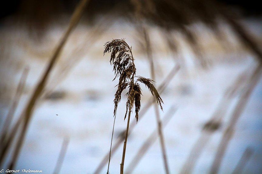 Bild: Wetter-Bild