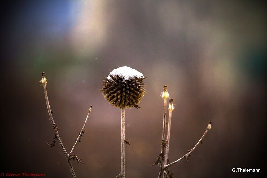 Bild: Wetter-Bild