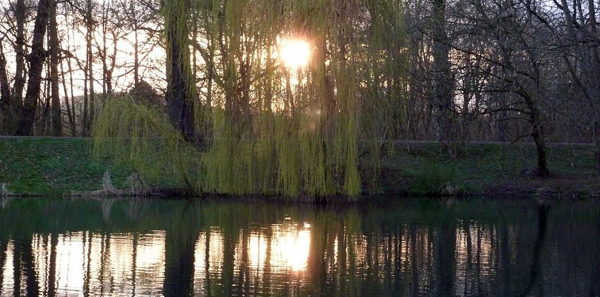 Bild: "Untergang" im Park