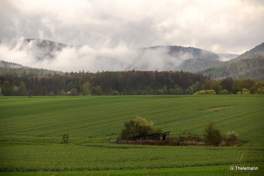 Bild: Wetter-Bild