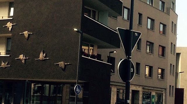 Bild: Leuchten auch am Tage?