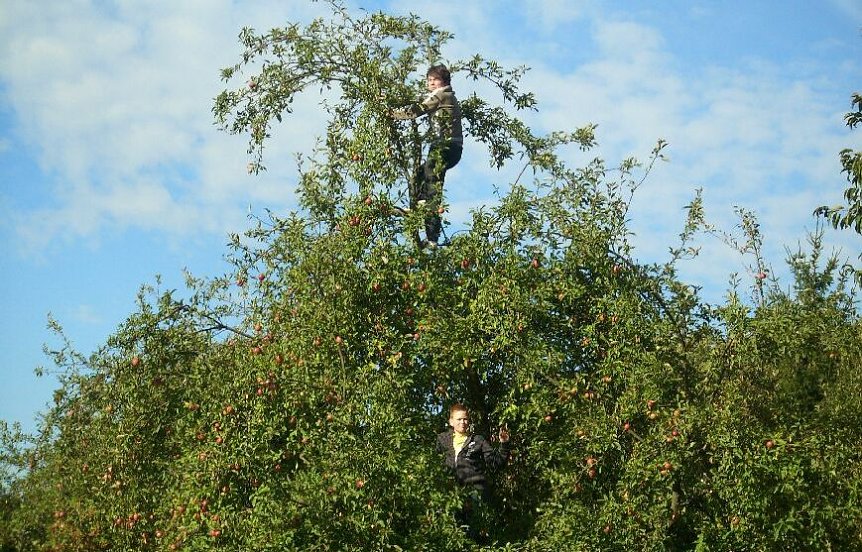 Bild: Jagdrevier gesucht