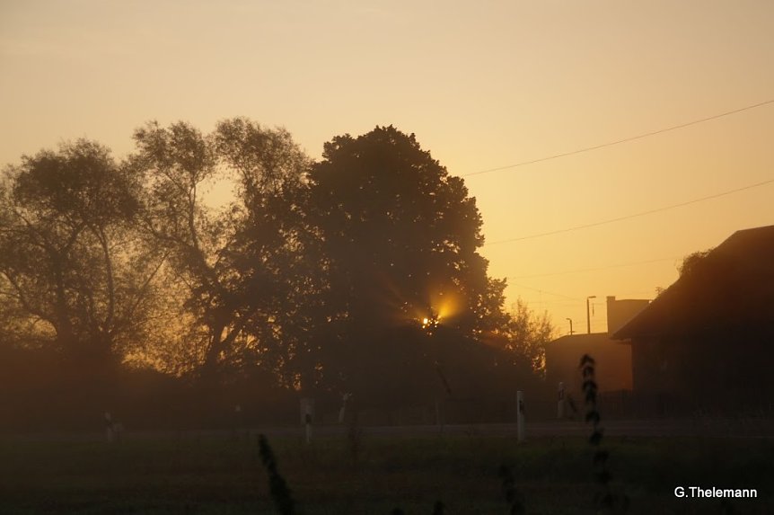 Bild: Wetter-Bild