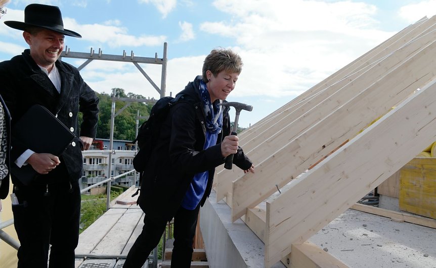 Bild: Der letzte Nagel