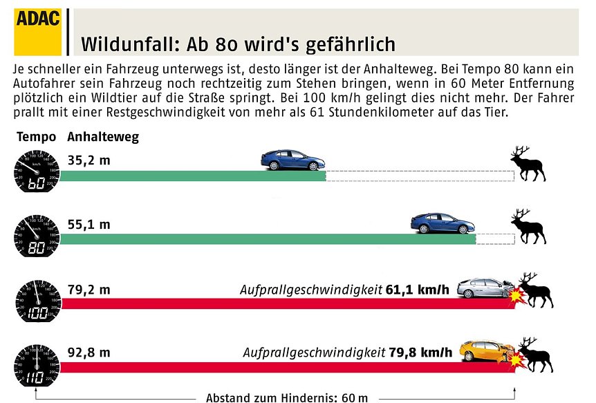 Bild: Grafik