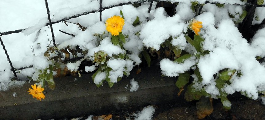 Bild: Winter in Ilfeld