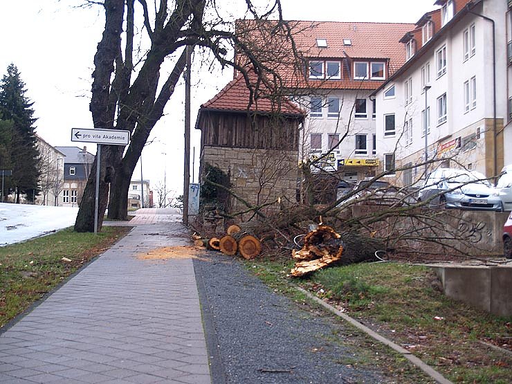 Bild: Der Tag danach in Nordhausen