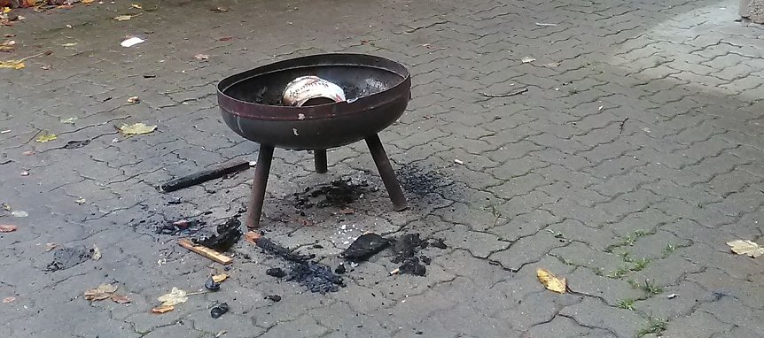 Bild: Riesige Schweinerei in Harztor