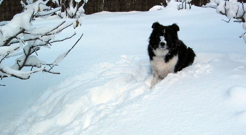 Bild: Spa&szlig; im Schnee